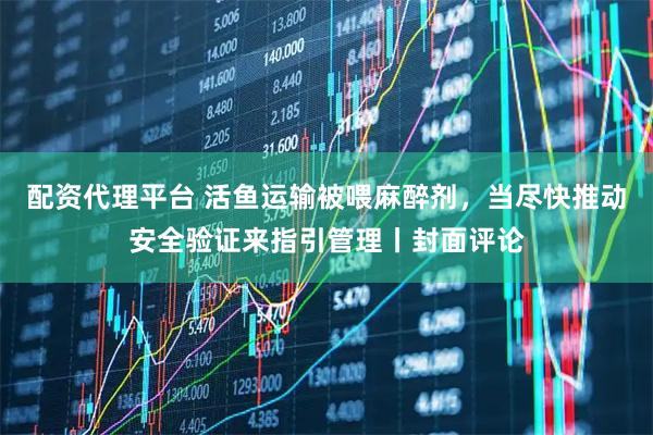 配资代理平台 活鱼运输被喂麻醉剂，当尽快推动安全验证来指引管理丨封面评论