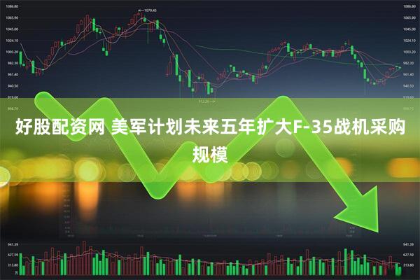 好股配资网 美军计划未来五年扩大F-35战机采购规模